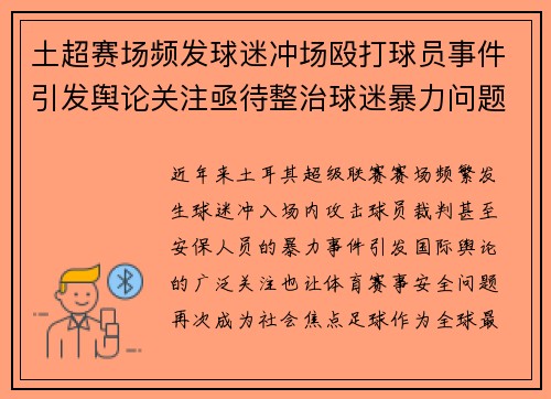 土超赛场频发球迷冲场殴打球员事件引发舆论关注亟待整治球迷暴力问题 土超赛场频发球迷冲场殴打球员事件引发舆论关注亟待整治球迷暴力问题